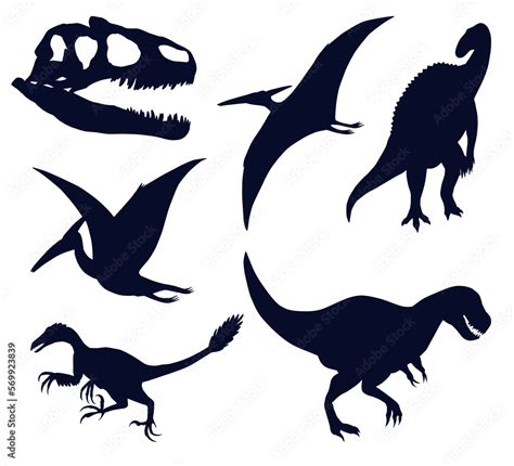 Set Of Dinosaurs And Pterosaurs Silhouettes On White Tyrannosaurus