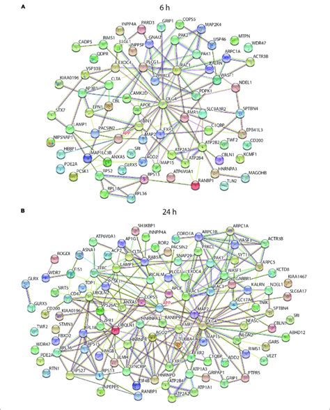 String Analysis Of Functional Interactions Of Differentially