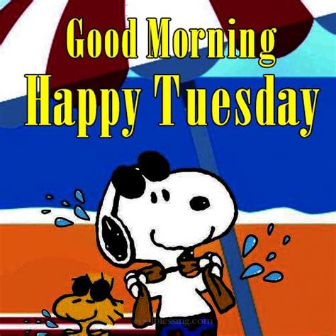 Snoopy Tuesday Morning Images