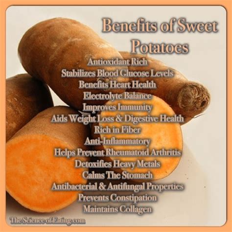 Sweet Potatoes And Yams Are Often Used Interchangeably In Recipes But