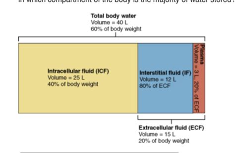 Fluid And Electrolytes Flashcards Quizlet