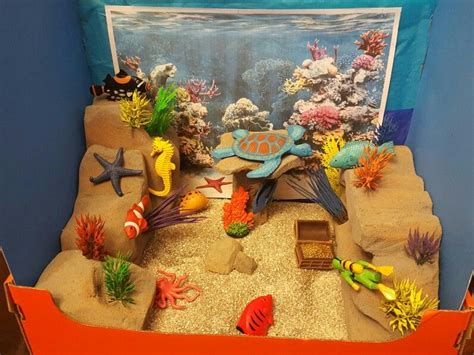 Coral Reef Biome Biomes Project Coral Reef Biome Biomes