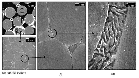 Fesem Micrographs Of The Typical Microstructure Found In Sample I Download Scientific Diagram