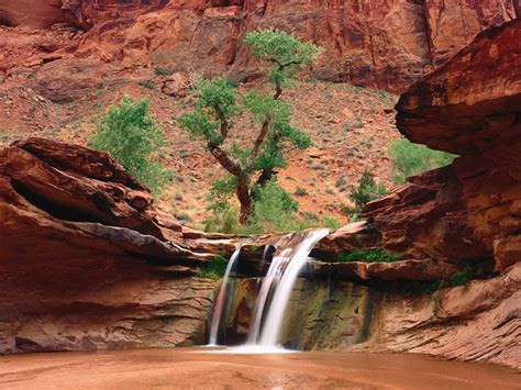 Bakgrundsbilder Coyote Gulch Escalante River Canyons Utah