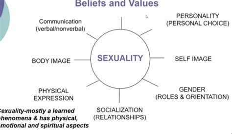 Human Sexuality Flashcards Quizlet