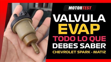 Valvula Evap Purga Del Canister Chevrolet Spark Matiz Youtube