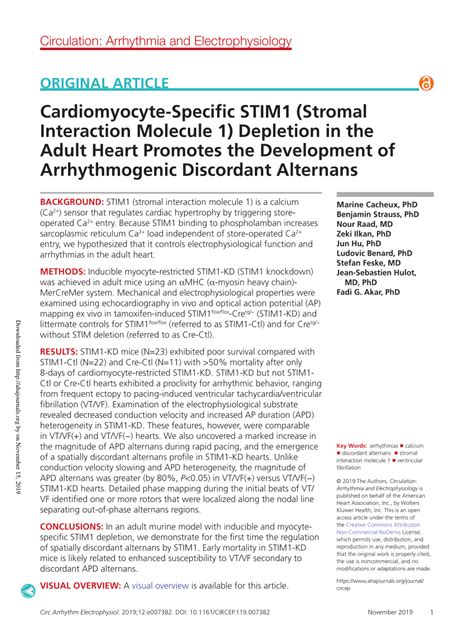 PDF Cardiomyocyte Specific STIM1 Stromal Interaction Molecule 1