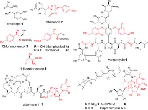 β hydroxy α amino acids βHAAs serve as building blocks for many