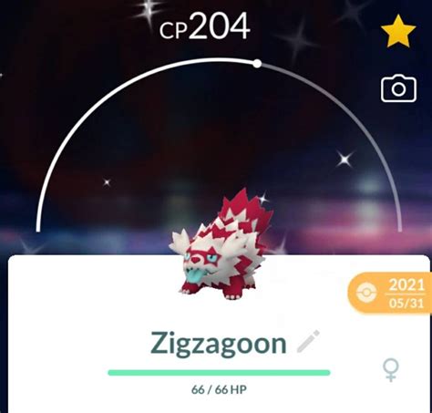 Zigzagoon Galar Form Shiny for Pokemon Go. - Etsy