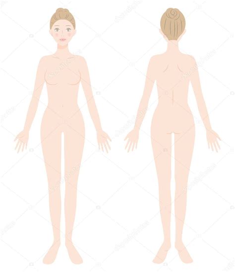 Mujer Desnuda Cuerpo Completo Ilustraci N Delantera Y Trasera Concepto