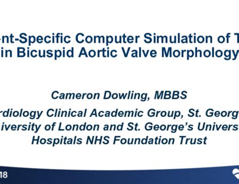 Patient Specific Computer Simulation Of Tavr In Bicuspid Aortic Valve