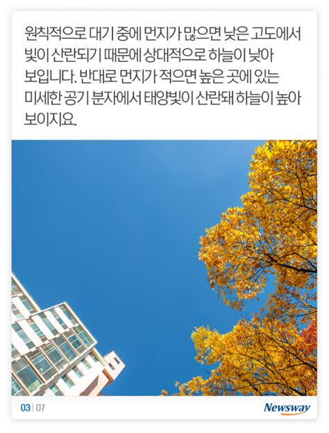 정말 가을 하늘은 더 높고 파랄까