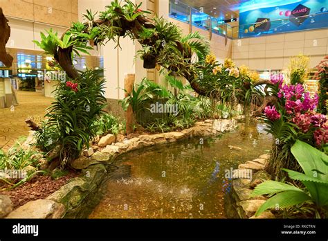Singapore Circa August 2016 Inside Of Singapore Changi Airport