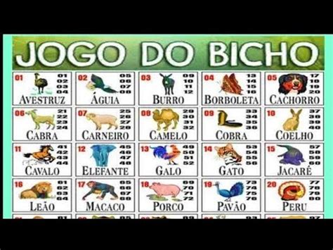 Jogo Do Bicho Milhares Centenas E Dd Cada Pelos Youtube