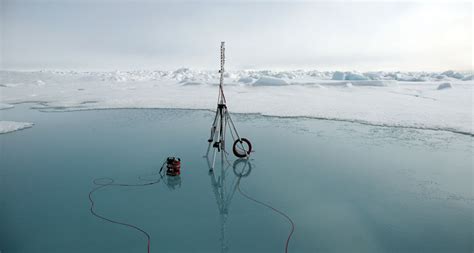 Disappearing Sea Ice Could Disrupt Arctics Food Web