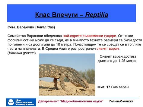 4.18 Животинско царство: Гръбначни животни. Земноводни и влечуги