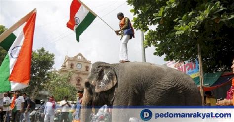 Gelombang Panas Di India Tewaskan Orang