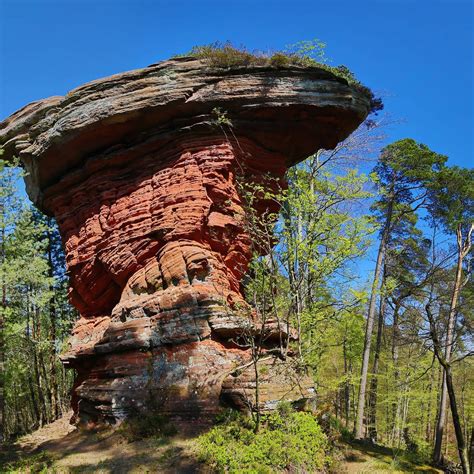 Teufelstisch bei Hinterweidenthal nicht zum Naturwunder gewählt SWR