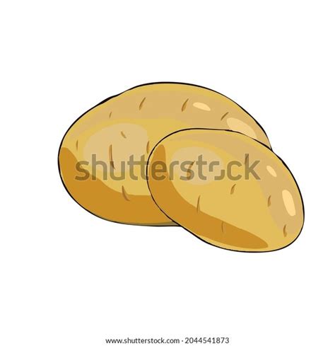 Potatoes Vector Illustration Isolated White Background Stock Vector Royalty Free 2044541873