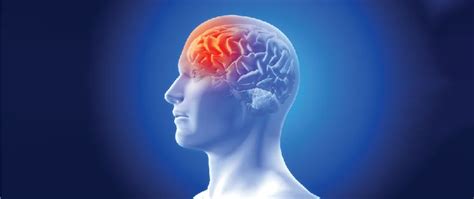 Brain Tumor Surgery: Recovery and Treatment in Delhi