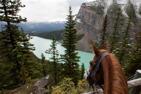 5 Tips For A Solo Day Trail Ride Horse And Rider