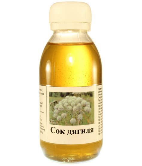 Дягиль - Биолайт 89065647461
