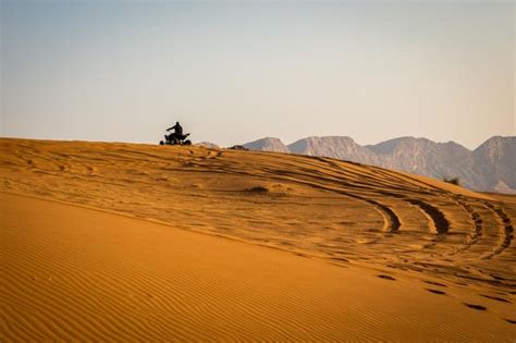 Tour En Quad Por La Reserva Nacional De Paracas Civitatis