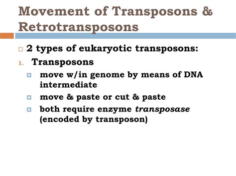 PPT - Genomes & their evolution PowerPoint Presentation, free download ...