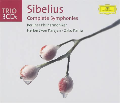 Sibelius Int Grale Des Symphonies Jean Sibelius Okku Kamu Herbert