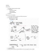 Cell Signaling Perception Transduction And Response Course Hero