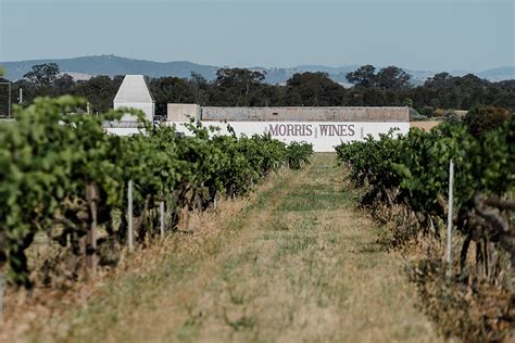 Morris Wines Vineyards The Real Review