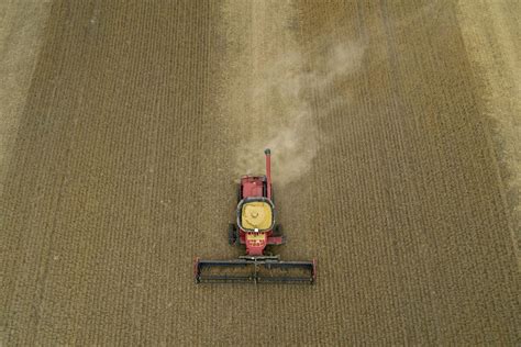 China, U.S. Agree on Some Agriculture Product Regulatory Issues - Bloomberg