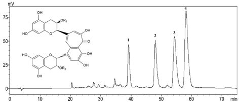 Hplc Chromatogram Of Theaflavins Tfs 1 Theaflavin Tf R1 R2 H 2 Download Scientific