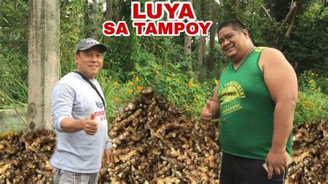 Luya Sa Tampoy Biyaherong Batangueno Youtube