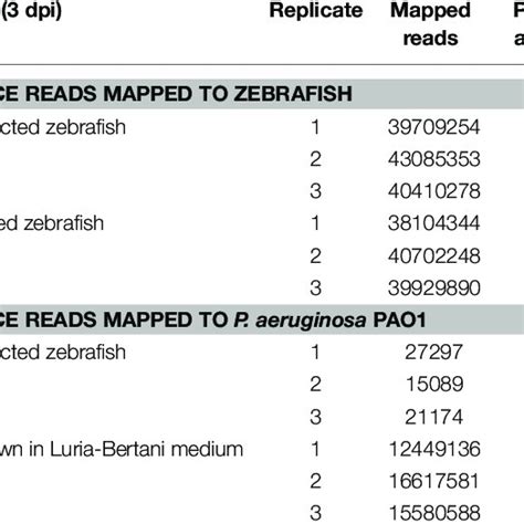 Schematic Representation Of Host Pathogen Interactions Of Zebrafish