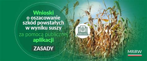 Jak prawidłowo złożyć wniosek o oszacowanie szkód za pośrednictwem