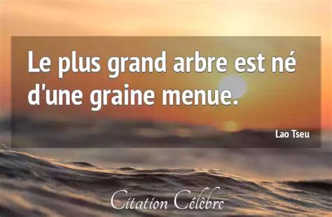 Citation Lao Tseu Arbre Le Plus Grand Arbre Est N D Une Graine Menue