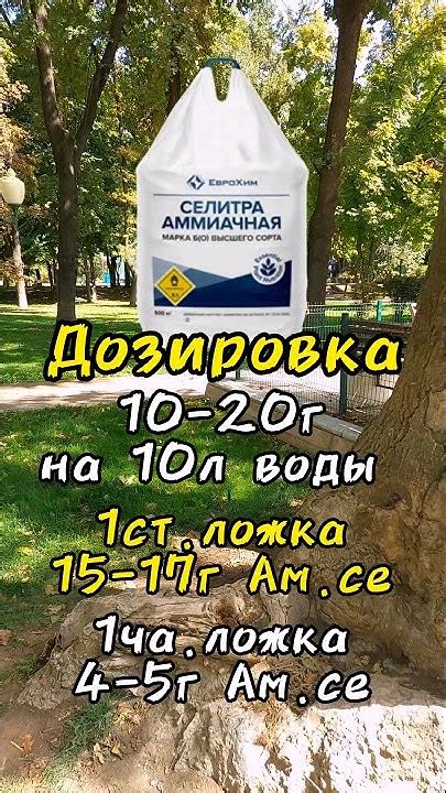 Аммиачная селитра за одну минуту. Дозировка и применение. Самая ...