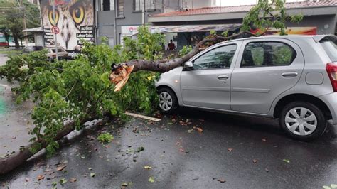 Vendaval De Km H Durante Tempestade Derruba Rvore Sobre Carro Em