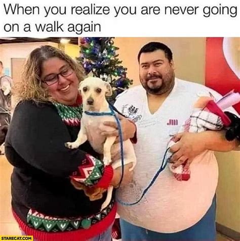 The Latest Memes Memedroid