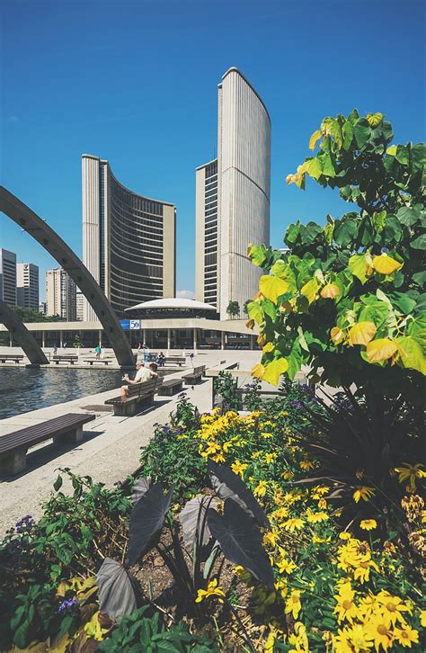 Free photo: toronto city hall, new city hall, toronto, canada ...