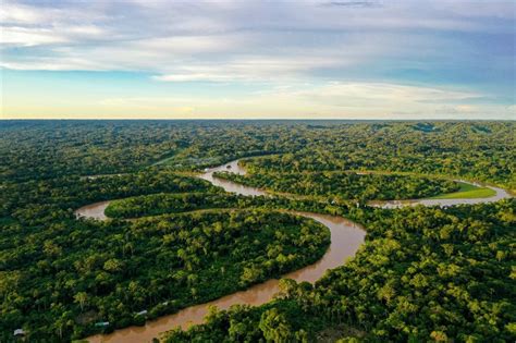 Equador Converte Dívida Em Natureza Destinará 460 Milhões De Dólares Para A Amazônia