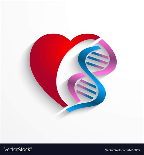 Dna Conceptheart With Double Helix Symbols Vector Image