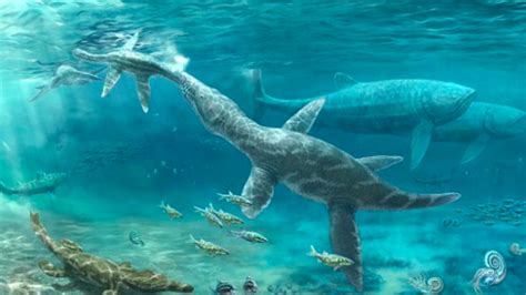 Deep ocean predators thrived during ancient climate change • Earth.com