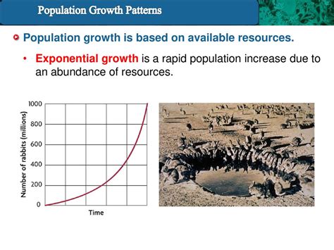 Population Growth Patterns Ppt Download