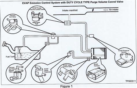 Where Is The Evap Canister Located On Nissan Sentra