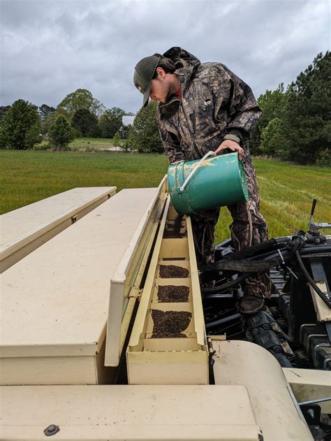 Bringing Back Piedmont Prairies For Pollinators Triangle Land Conservancy