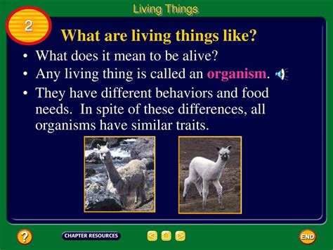 Chapter Exploring And Classifying Life Ppt Download