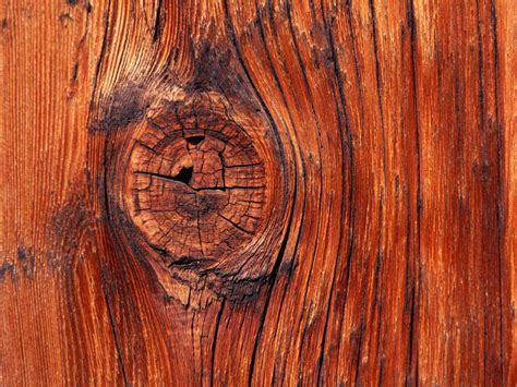 50 Hd Wood Wallpapers For Free Download