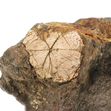 Mica / Sericite pseudomorph after Cordierite-Indialite ("Cherry Blossom ...